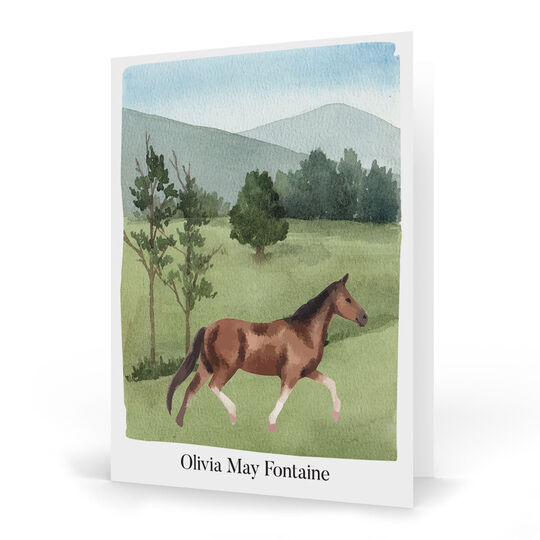 Watercolor Horse Folded Note Cards